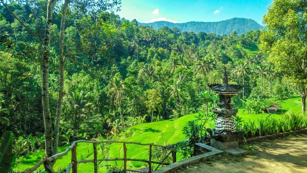 Buda'S Homestay Lemukih Buleleng  Exterior photo