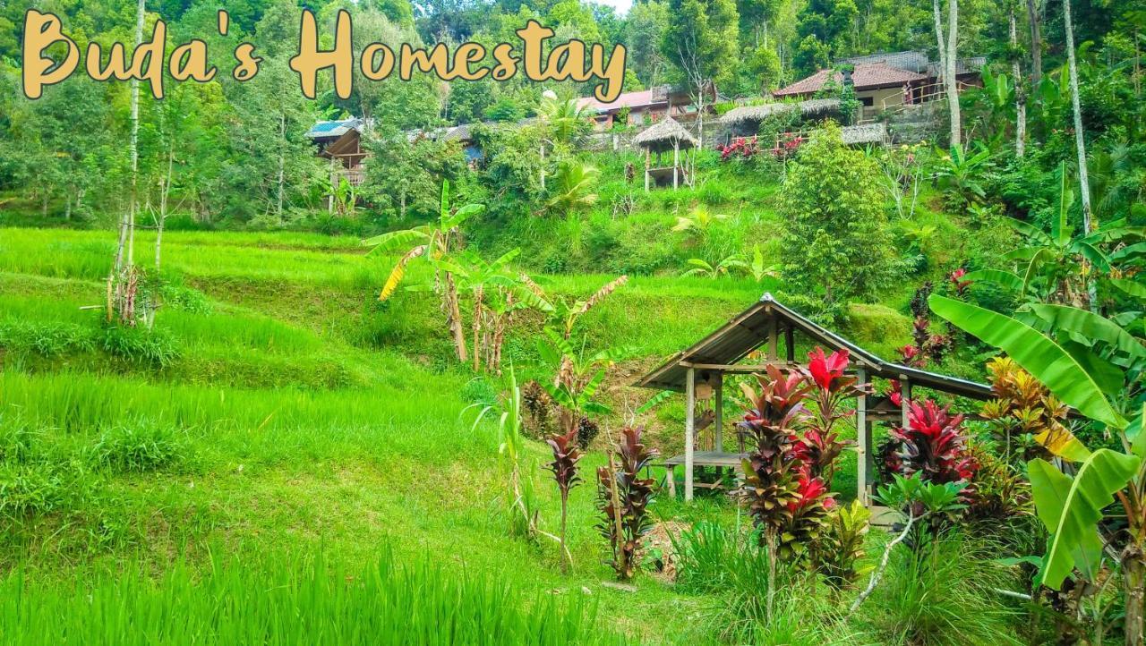 Buda'S Homestay Lemukih Buleleng  Exterior photo