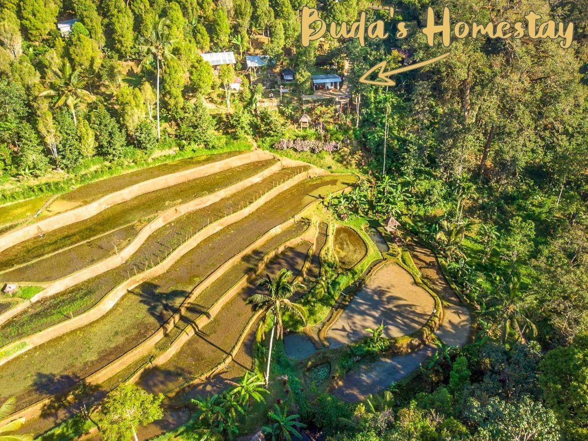 Buda'S Homestay Lemukih Buleleng  Exterior photo