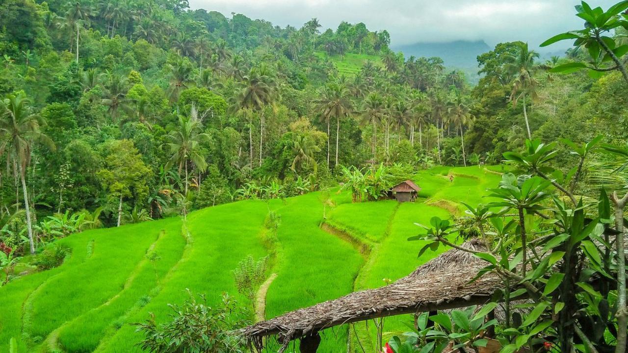 Buda'S Homestay Lemukih Buleleng  Exterior photo