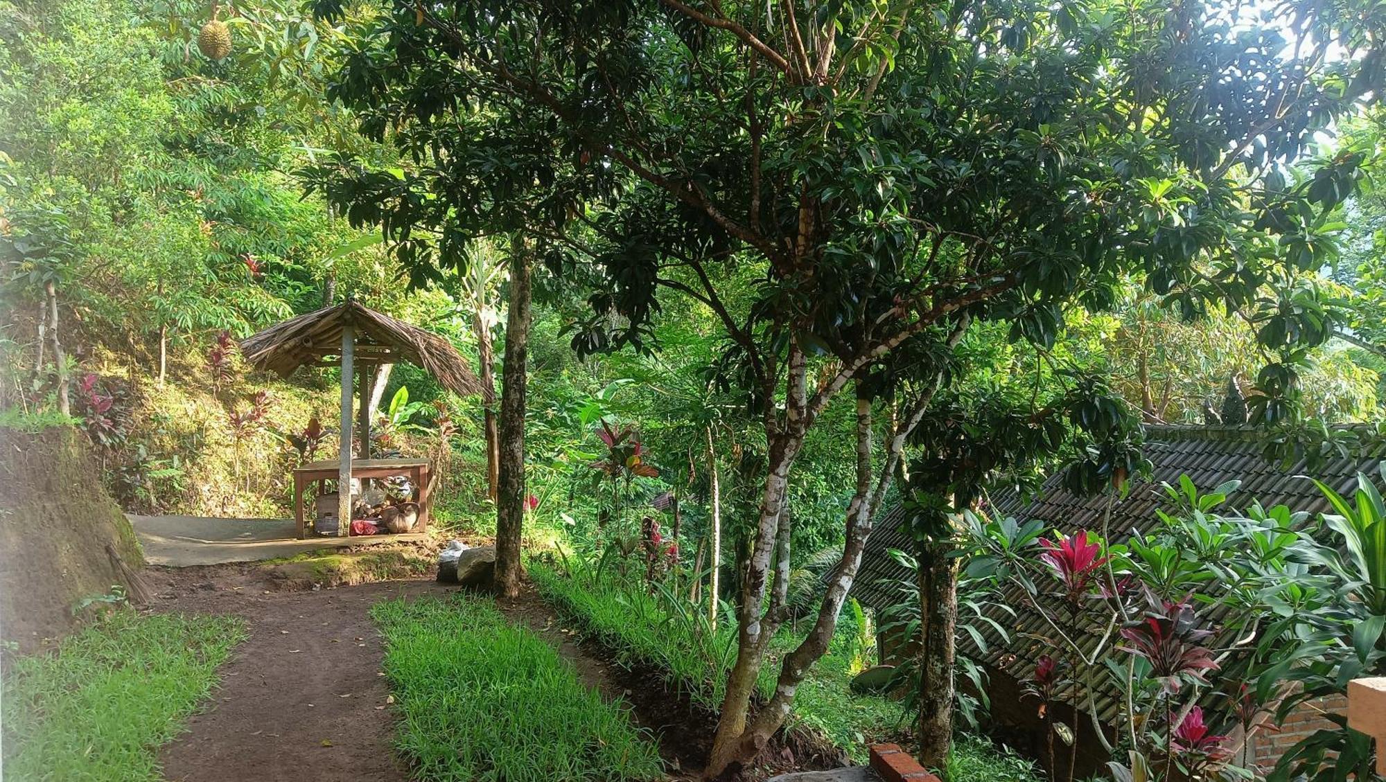 Buda'S Homestay Lemukih Buleleng  Exterior photo