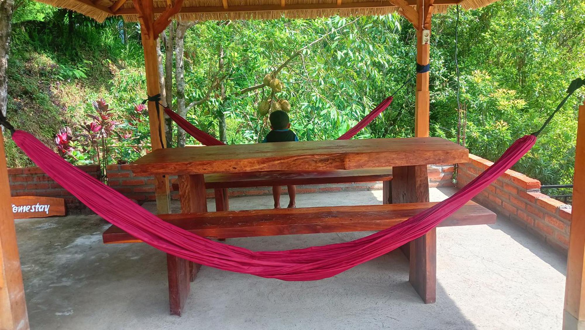 Buda'S Homestay Lemukih Buleleng  Exterior photo